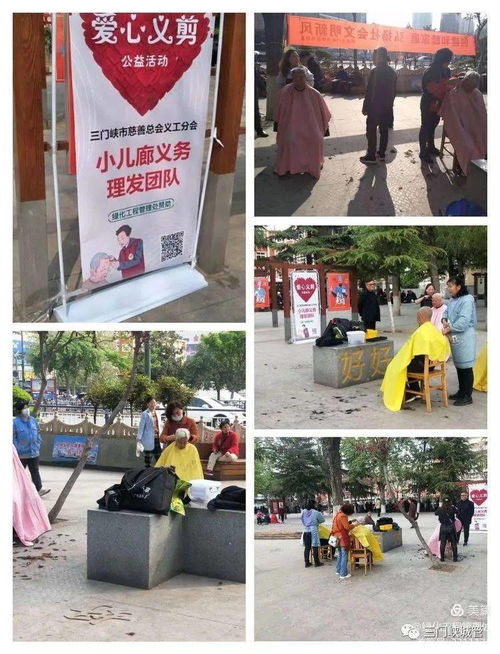 市綠化工程管理處 學黨史辦實事，優化工程管理服務惠民生
